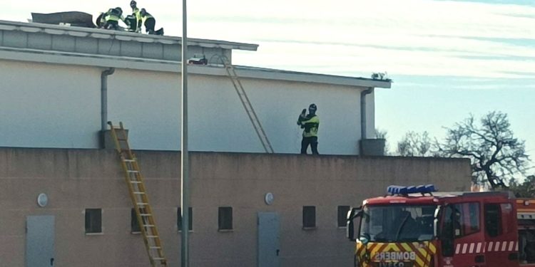 Los bomberos actúan en el techo del polideportivo del IES Algarb