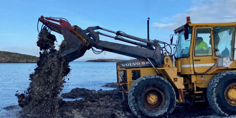 Fotos: Consell de Formentera