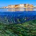 Posidonia en la costa de Formentera