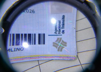 Imagen facilitada por la Policía Local de Ibiza