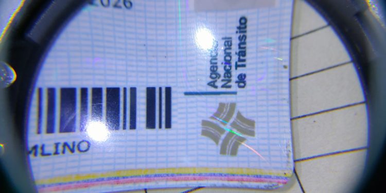 Imagen facilitada por la Policía Local de Ibiza