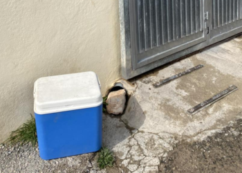 Dentro de esta nevera de playa cerrada se han encontrado al gatito. Imagen Fundacion Perros Abandonados en Ibiza