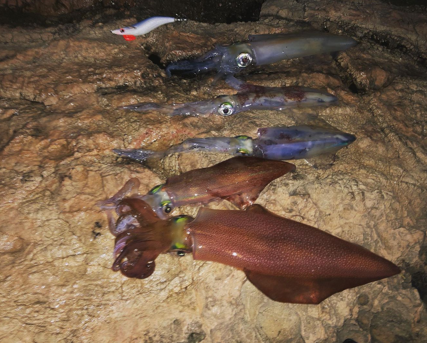 Pescando CALAMARES en Abril! 