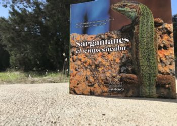 Portada del libro 'Sargantanes, el temps s'acaba'.