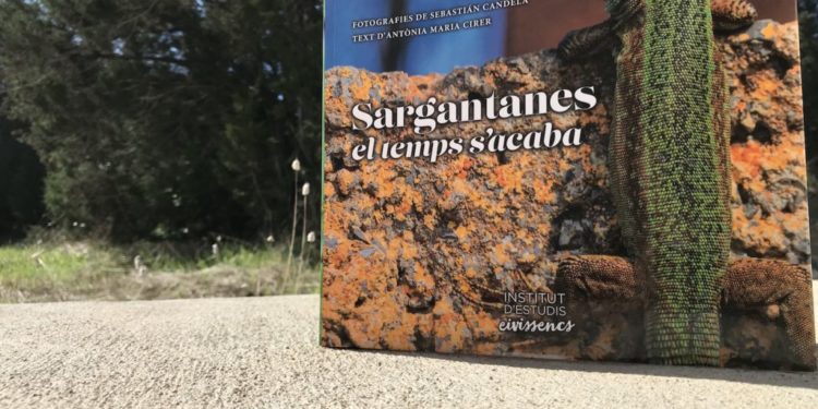 Portada del libro 'Sargantanes, el temps s'acaba'.