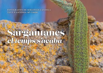 Llibre 'Sargantanes. El temps s'acaba'