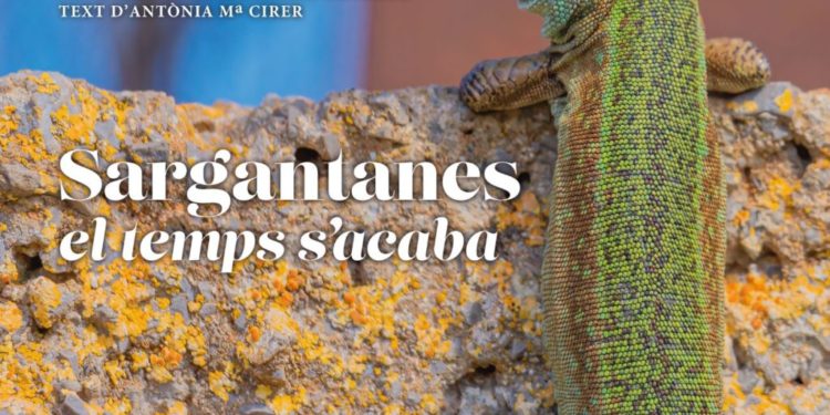 Llibre 'Sargantanes. El temps s'acaba'