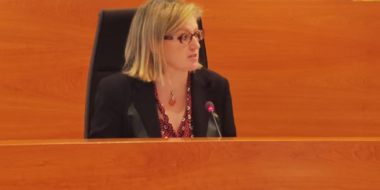 Carolina Escandell durante el pleno.