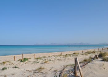Platja de Muro, en Mallorca, en el puesto 17 de las 25 mejores del mundo, según Tripadvisor
