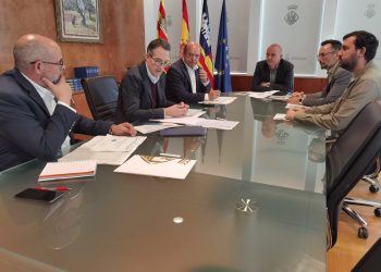 Reunión sobre cruceros en el Consell.