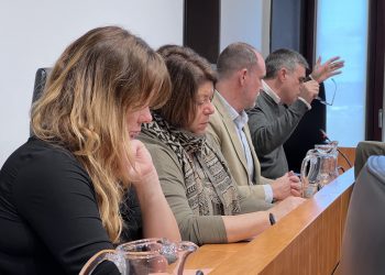 Un momento del pleno de Vila