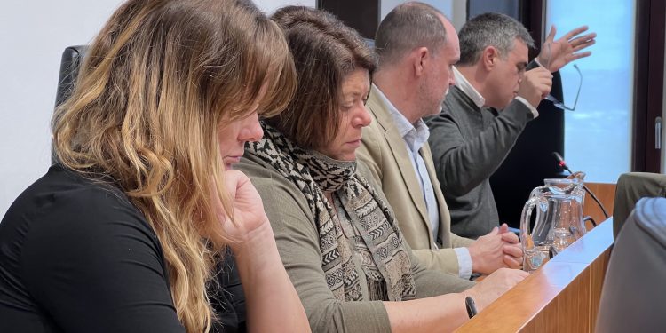 Un momento del pleno de Vila