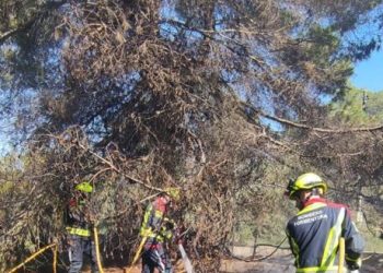 Bomberos actuando en la zona. Foto Consell de Formentera