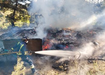 Los bomberos intervienen esta mañana en un incendio de una caseta en mitad de una zona boscosa. Imágenes cedidas por los Bomberos del Parque Insular de Ibiza.