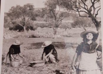 fuente: Margalida Serra Marí de cas Margalits, de casada de cas Coroner
De jove, collint ametlles, es dia des casament, amb güelos