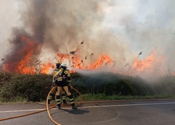 Agentes del Ibanat tratan de controlar las llamas en el incendio de ses Feixes de abril de este año. Ibanat