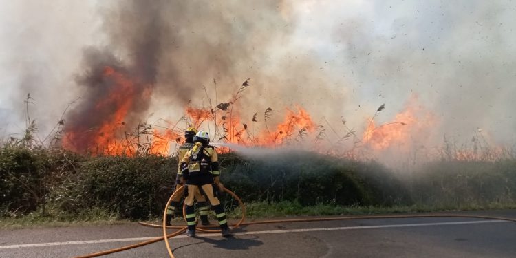 Agentes del Ibanat tratan de controlar las llamas en el incendio de ses Feixes de abril de este año. Ibanat