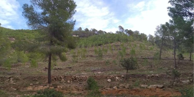 Xona de Morna afectada por el incendio del año 2011.