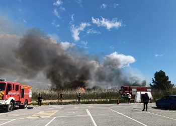 Incendio en Ses Feixes de Vila en esta mañana de miércoles. Foto J. H.