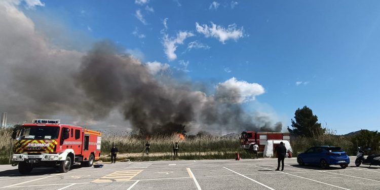 Incendio en Ses Feixes de Vila en esta mañana de miércoles. Foto J. H.