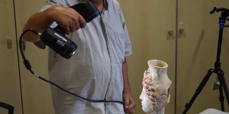 Digitalización de un busto de Tanit.