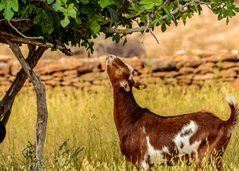Imatge de Javi Parejo, 2n premi del concurs de fotografia Beni Trutmann 2022