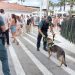 Operativo de la Guardia Civil durante las aperturas de las discotecas de Ibiza.