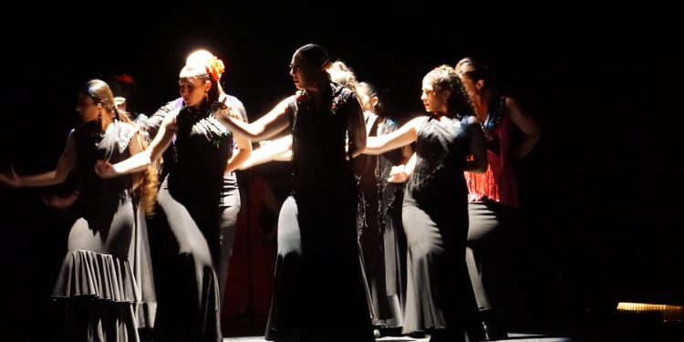 Imagen de la Escuela de flamenco Teresa Rojas.
