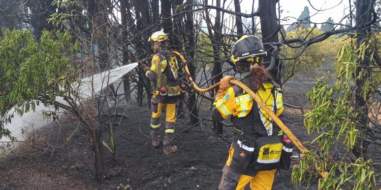 Imagen de los operativos para sofocar las llamas. Foto: @Ibanat_IB