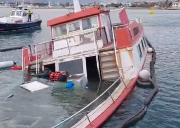 Golondrina hundida en el Port d'Alcudia