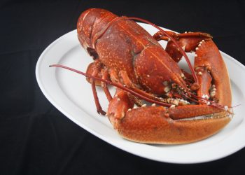 La cena sin pagar consistió en bogavante acompañado de champagne.