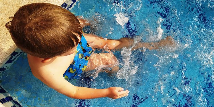 Boixet xopollant. Foto: JAR