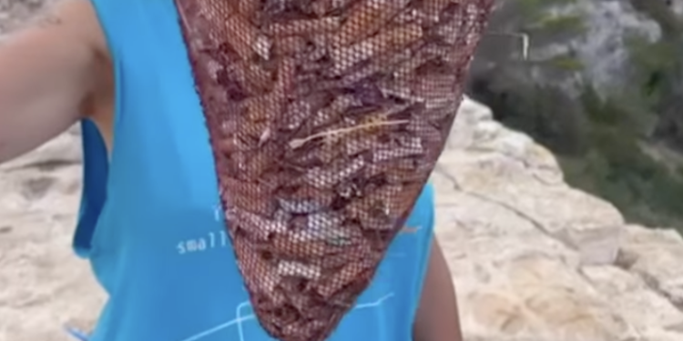 Salobre lleno de colillas recogidas en apenas 20 minutos. Imagen Ocean Keepers