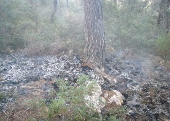 Imagen del incendio en Font de Perella. Ibanat.