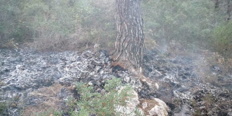 Imagen del incendio en Font de Perella. Ibanat.