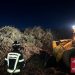 Los bomberos interviniendo en la planta de biomasa de Sant Rafel hace dos días.  Fotos Bombers d'Eivissa.