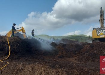 Imagen de los trabajos de hoy de bomberos