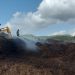 Imagen de los trabajos de hoy de bomberos