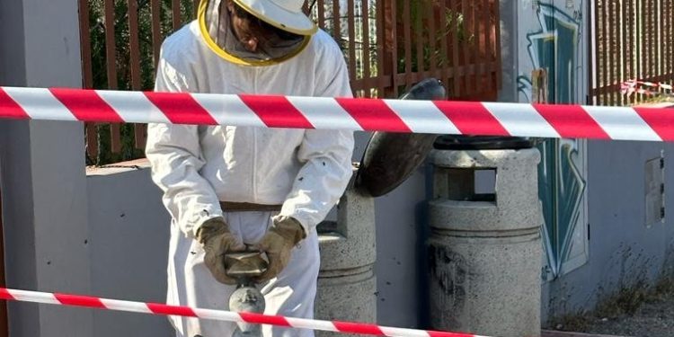 Un bombero equipado con el traje protector retira el enjambre de la puerta del IES Quartó de Portmany. Foto Bombers