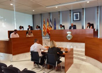 Un momento del pleno celebrado hoy.