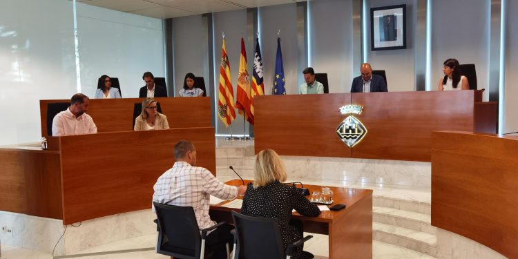 Un momento del pleno celebrado hoy.