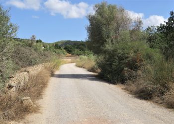 Un camino rural de Sant Antoni