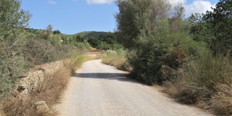Un camino rural de Sant Antoni