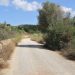 Un camino rural de Sant Antoni