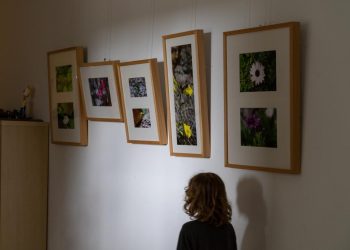Exposición de obra de Ángels Cardona en el CEIP Santa Gertrudis. Foto de Ana G. Hernando