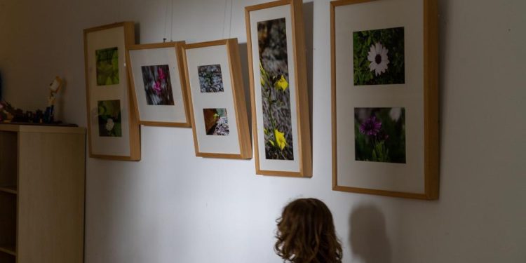 Exposición de obra de Ángels Cardona en el CEIP Santa Gertrudis. Foto de Ana G. Hernando