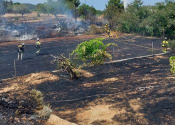 Tareas de extinción. Foto: @bombersdeivissa