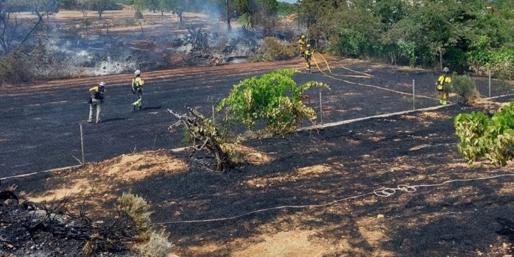 Tareas de extinción. Foto: @bombersdeivissa