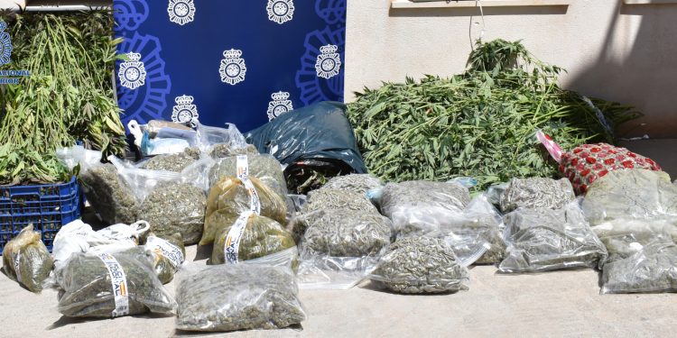 Imagen de buena parte de la droga que han encontrado los agentes. Foto Policía Nacional