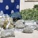 Imagen de buena parte de la droga que han encontrado los agentes. Foto Policía Nacional